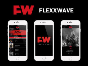 flexxwave